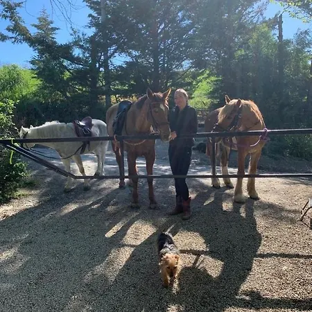 Bed & Breakfast 'la Ruella' Bed & Breakfast Scerni