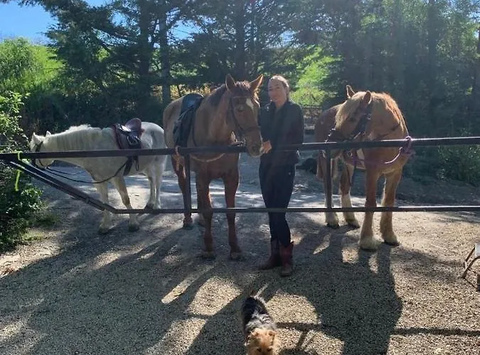 Bed & Breakfast 'la Ruella' Bed & Breakfast Scerni