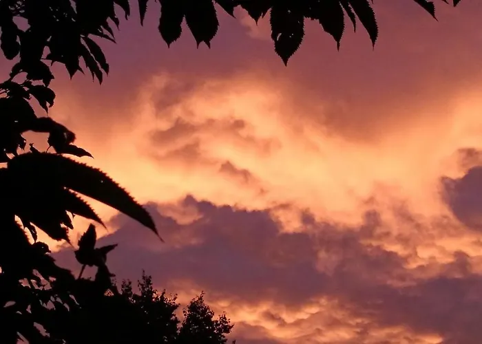 Bed & Breakfast 'la Ruella' Bed & Breakfast *