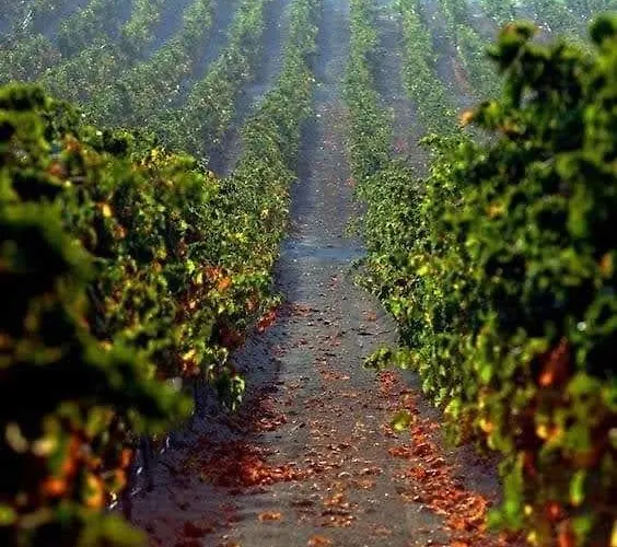 Bed & Breakfast Bed & Breakfast 'la Ruella' Scerni